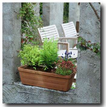 Struikjes, coniferen en vaste planten stelen al vroeg de show in een warm oranje gekleurde terracotta bak. 