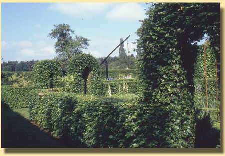 Beukenhagen geven structuur aan deze fraaie tuin 