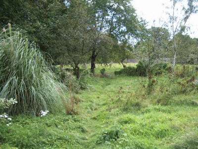 Een wilde tuin betekent niet "een wildernis"