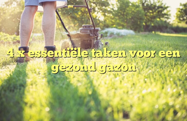 4 x essentiële taken voor een gezond gazon