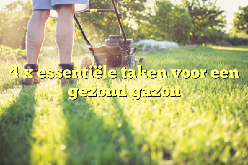 4 x essentiële taken voor een gezond gazon