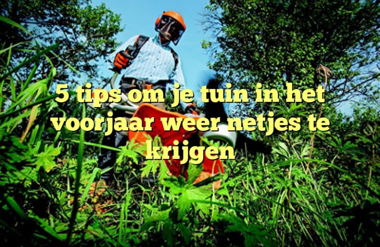 5 tips om je tuin in het voorjaar weer netjes te krijgen