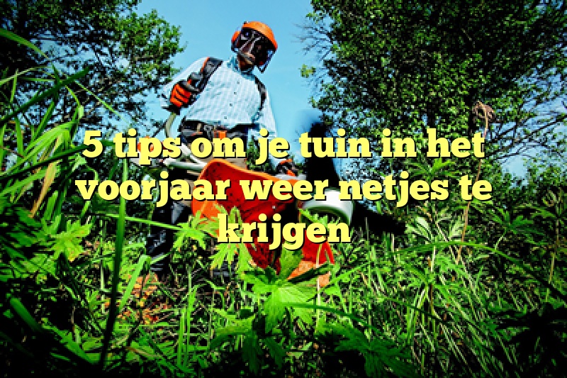 5 tips om je tuin in het voorjaar weer netjes te krijgen