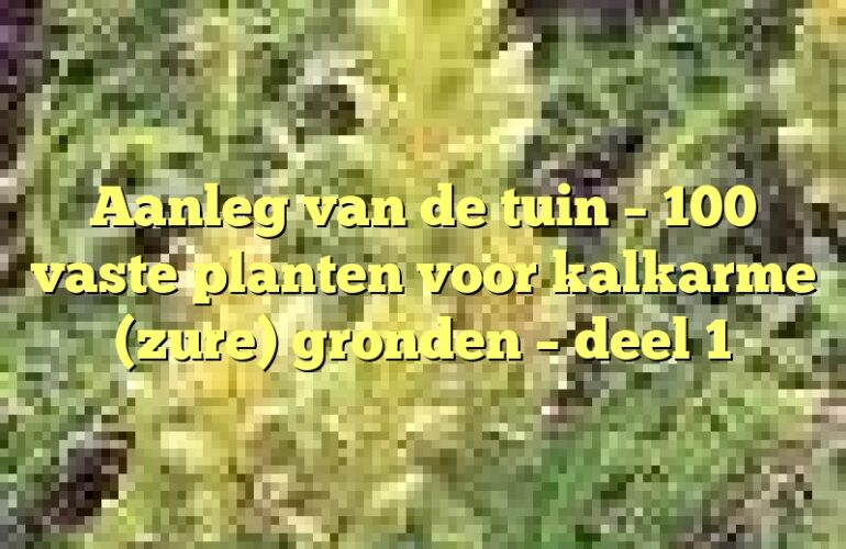 Aanleg van de tuin – 100 vaste planten voor kalkarme (zure) gronden – deel 1