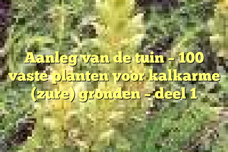 Aanleg van de tuin – 100 vaste planten voor kalkarme (zure) gronden – deel 1