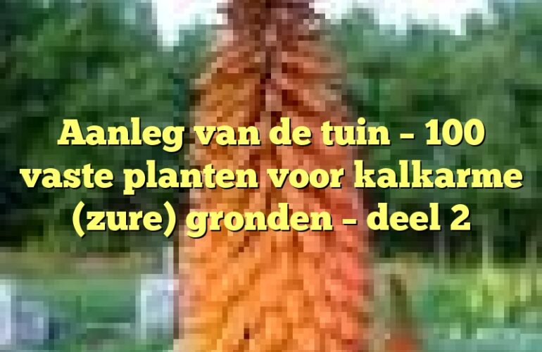 Aanleg van de tuin – 100 vaste planten voor kalkarme (zure) gronden – deel 2