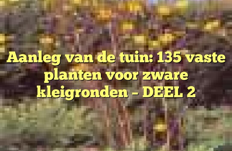 Aanleg van de tuin: 135 vaste planten voor zware kleigronden – DEEL 2