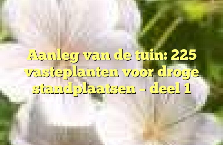 Aanleg van de tuin: 225 vasteplanten voor droge standplaatsen – deel 1