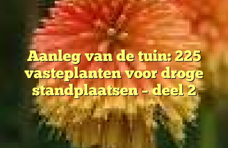 Aanleg van de tuin: 225 vasteplanten voor droge standplaatsen – deel 2