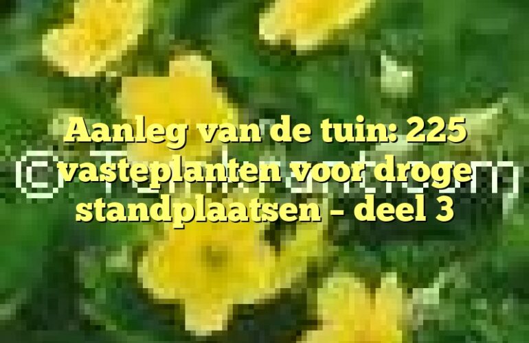 Aanleg van de tuin: 225 vasteplanten voor droge standplaatsen – deel 3