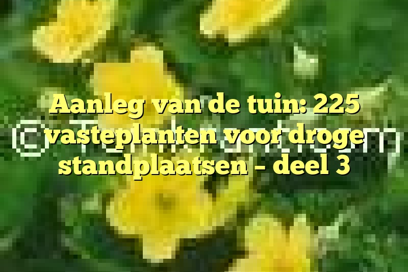 Aanleg van de tuin: 225 vasteplanten voor droge standplaatsen – deel 3