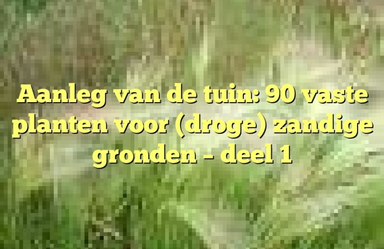 Aanleg van de tuin: 90 vaste planten voor (droge) zandige gronden – deel 1