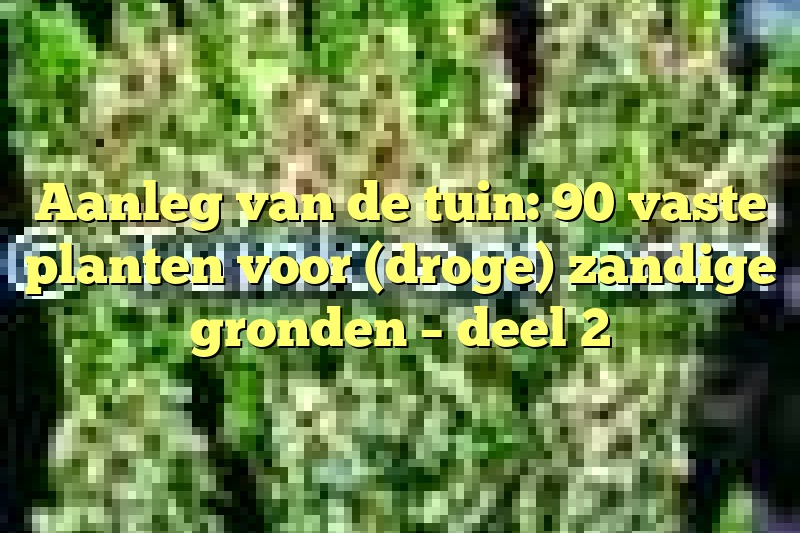 Aanleg van de tuin: 90 vaste planten voor (droge) zandige gronden – deel 2