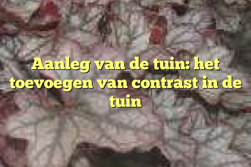 Aanleg van de tuin: het toevoegen van contrast in de tuin