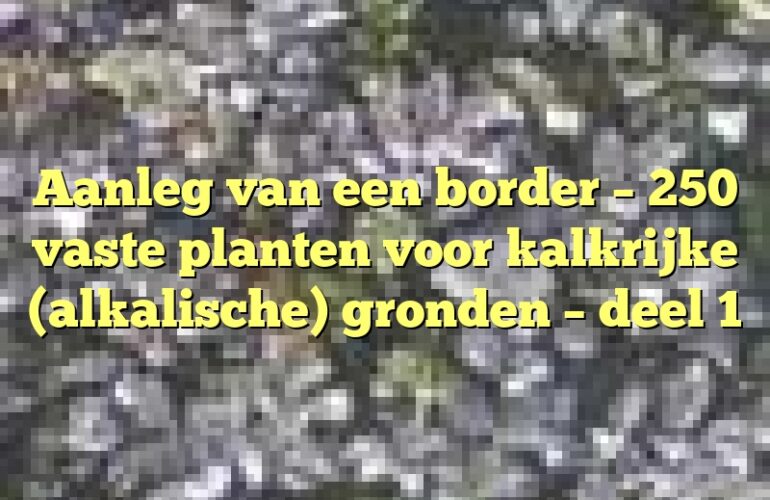 Aanleg van een border – 250 vaste planten voor kalkrijke (alkalische) gronden – deel 1