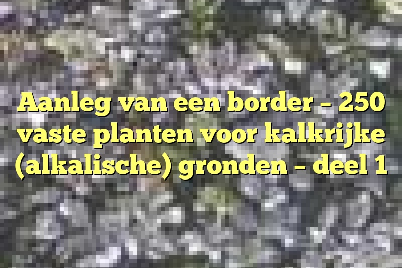 Aanleg van een border – 250 vaste planten voor kalkrijke (alkalische) gronden – deel 1