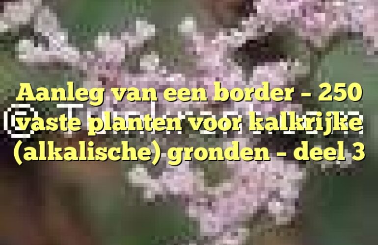 Aanleg van een border – 250 vaste planten voor kalkrijke (alkalische) gronden – deel 3