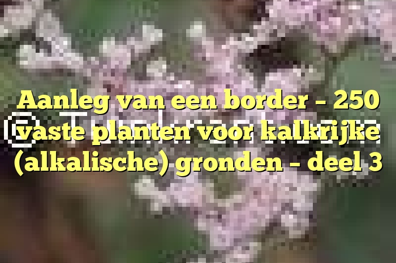 Aanleg van een border – 250 vaste planten voor kalkrijke (alkalische) gronden – deel 3