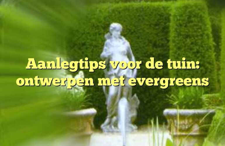 Aanlegtips voor de tuin: ontwerpen met evergreens