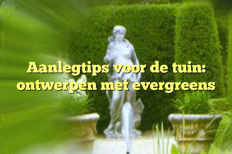 Aanlegtips voor de tuin: ontwerpen met evergreens