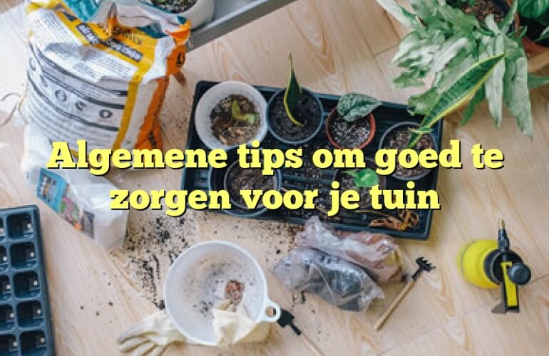 Algemene tips om goed te zorgen voor je tuin