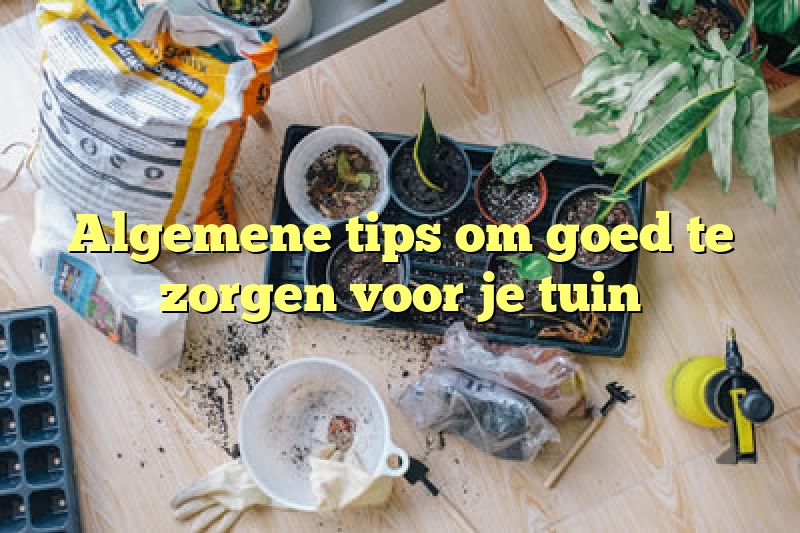 Algemene tips om goed te zorgen voor je tuin