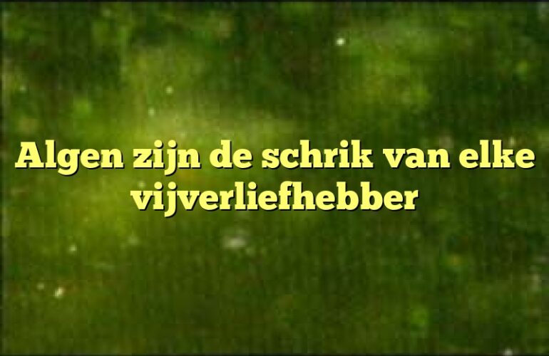 Algen zijn de schrik van elke vijverliefhebber