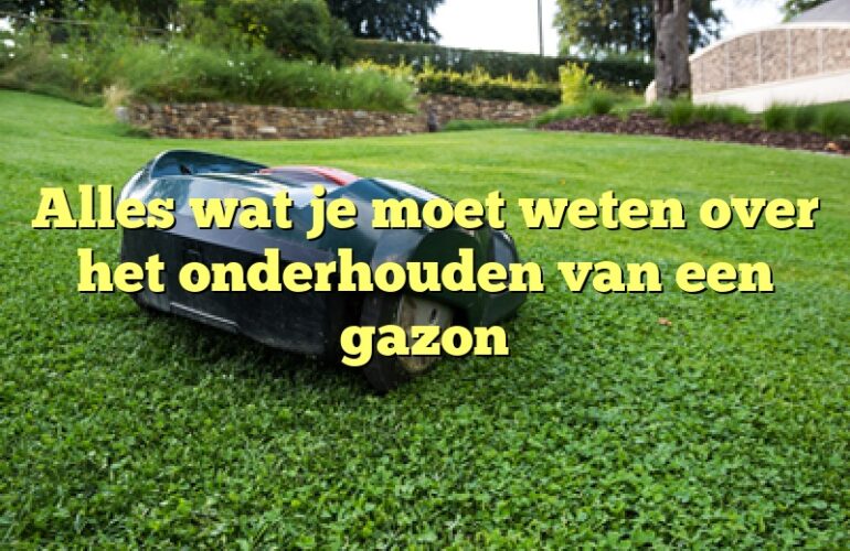 Alles wat je moet weten over het onderhouden van een gazon