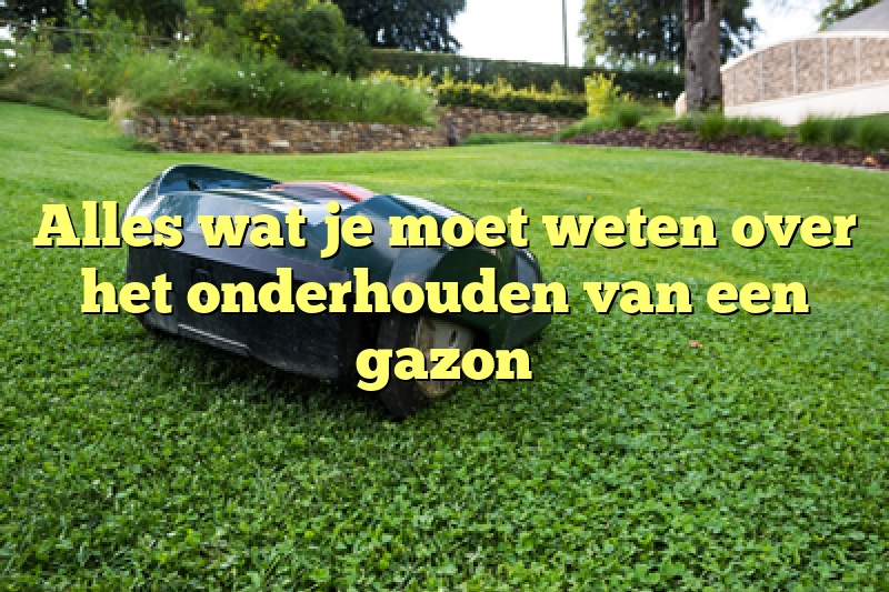 Alles wat je moet weten over het onderhouden van een gazon