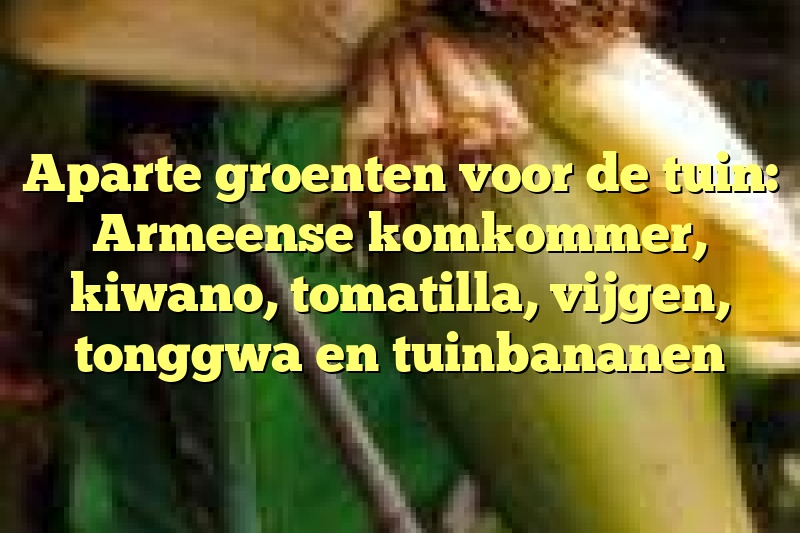 Aparte groenten voor de tuin: Armeense komkommer, kiwano, tomatilla, vijgen, tonggwa en tuinbananen