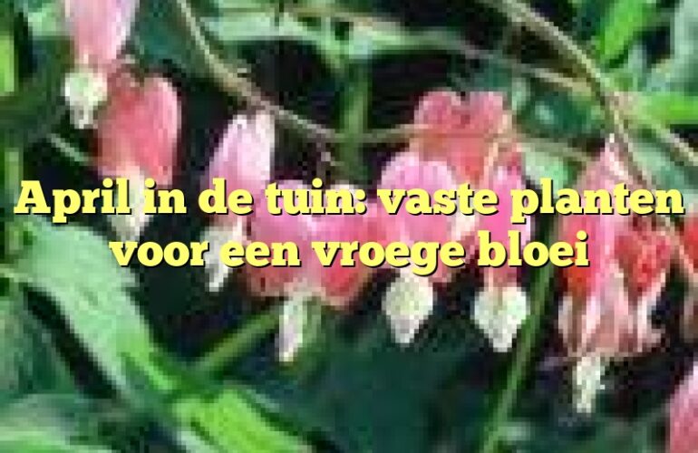 April in de tuin: vaste planten voor een vroege bloei