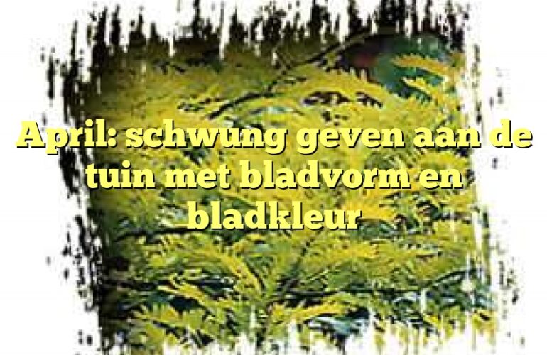 April: schwung geven aan de tuin met bladvorm en bladkleur