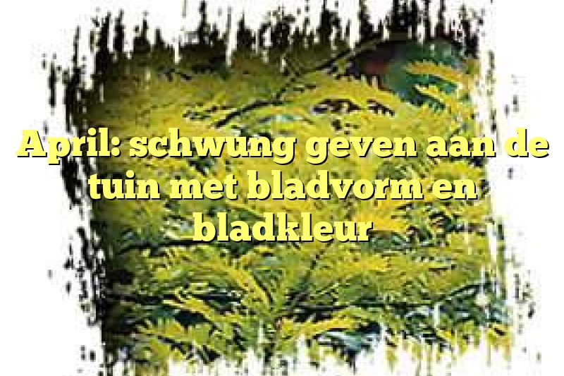 April: schwung geven aan de tuin met bladvorm en bladkleur