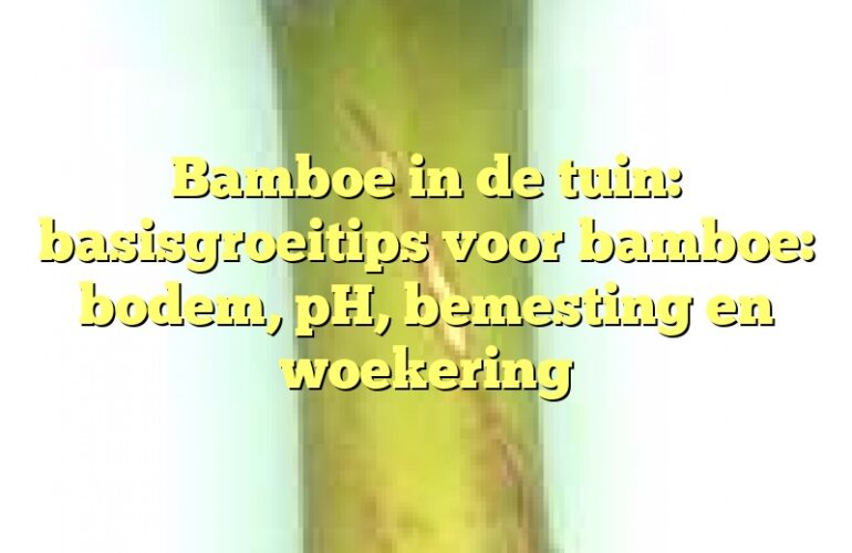 Bamboe in de tuin: basisgroeitips voor bamboe: bodem, pH, bemesting en woekering