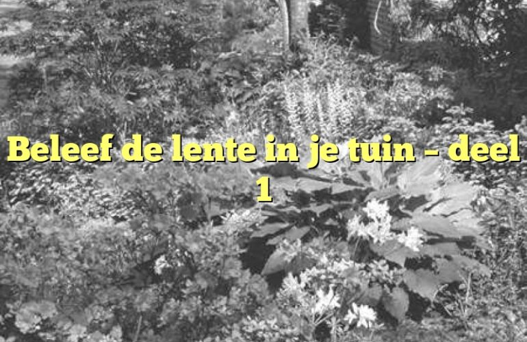 Beleef de lente in je tuin – deel 1