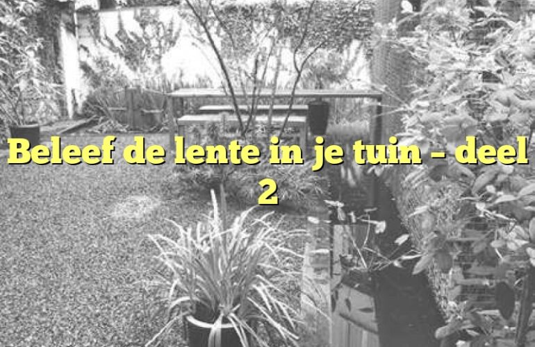 Beleef de lente in je tuin – deel 2