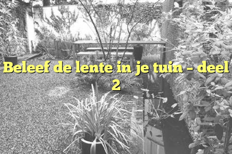 Beleef de lente in je tuin – deel 2