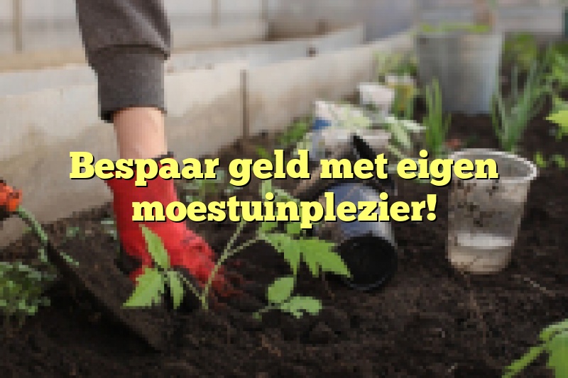 Bespaar geld met eigen moestuinplezier!