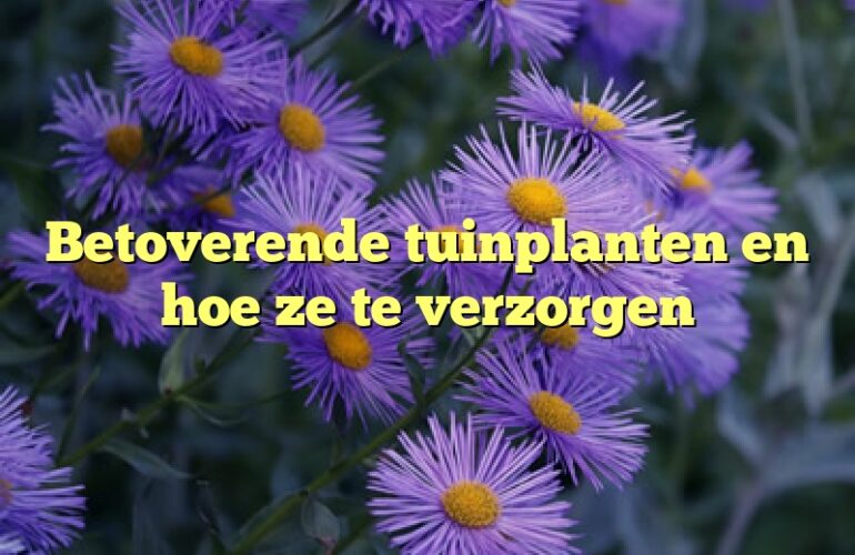 Betoverende tuinplanten en hoe ze te verzorgen