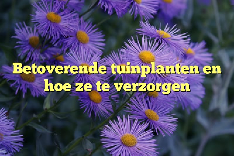 Betoverende tuinplanten en hoe ze te verzorgen