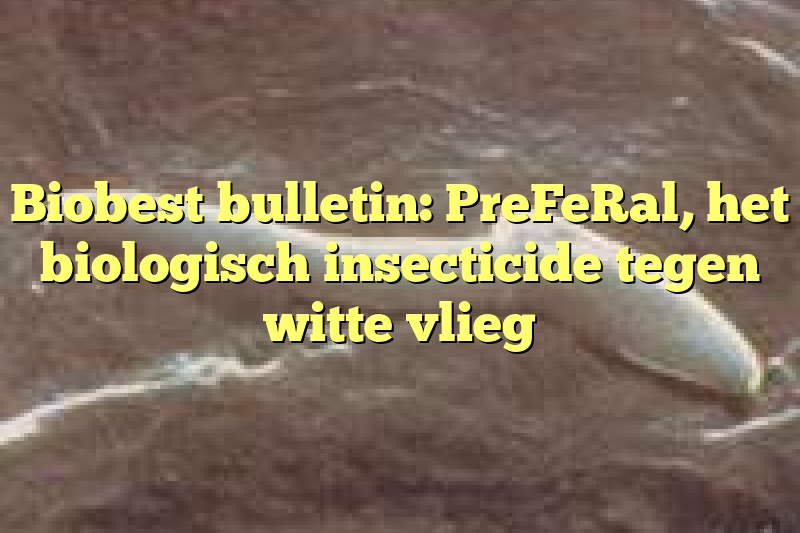 Biobest bulletin: PreFeRal, het biologisch insecticide tegen witte vlieg