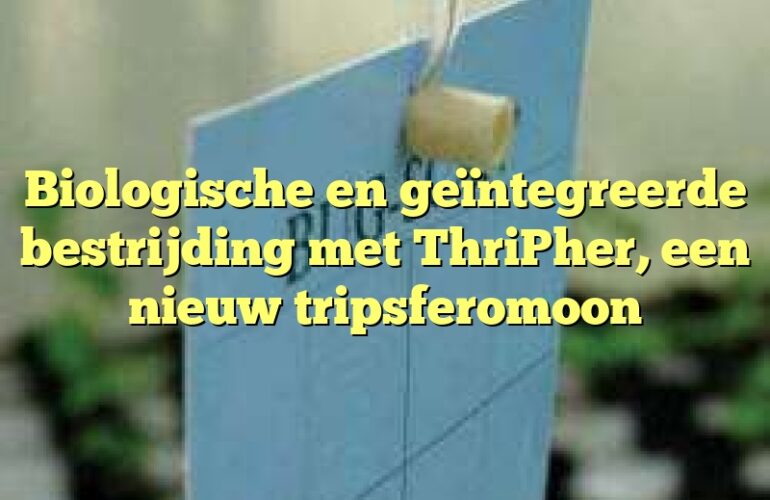 Biologische en geïntegreerde bestrijding met ThriPher, een nieuw tripsferomoon