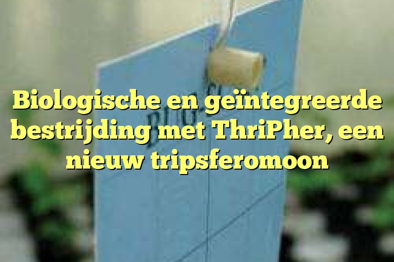 Biologische en geïntegreerde bestrijding met ThriPher, een nieuw tripsferomoon