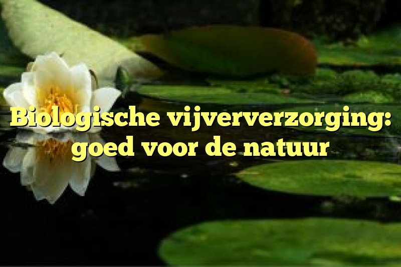 Biologische vijververzorging: goed voor de natuur