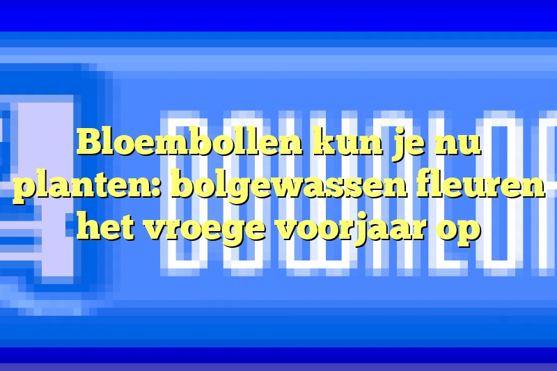 Bloembollen kun je nu planten: bolgewassen fleuren het vroege voorjaar op