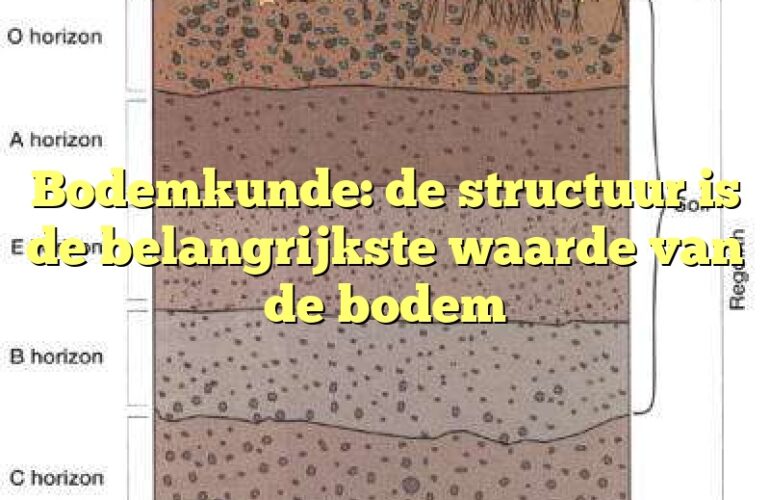 Bodemkunde: de structuur is de belangrijkste waarde van de bodem