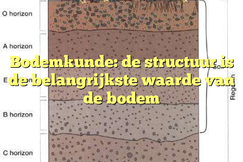 Bodemkunde: de structuur is de belangrijkste waarde van de bodem