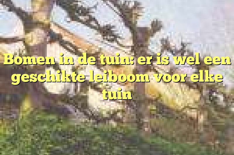 Bomen in de tuin: er is wel een geschikte leiboom voor elke tuin