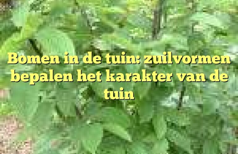 Bomen in de tuin: zuilvormen bepalen het karakter van de tuin