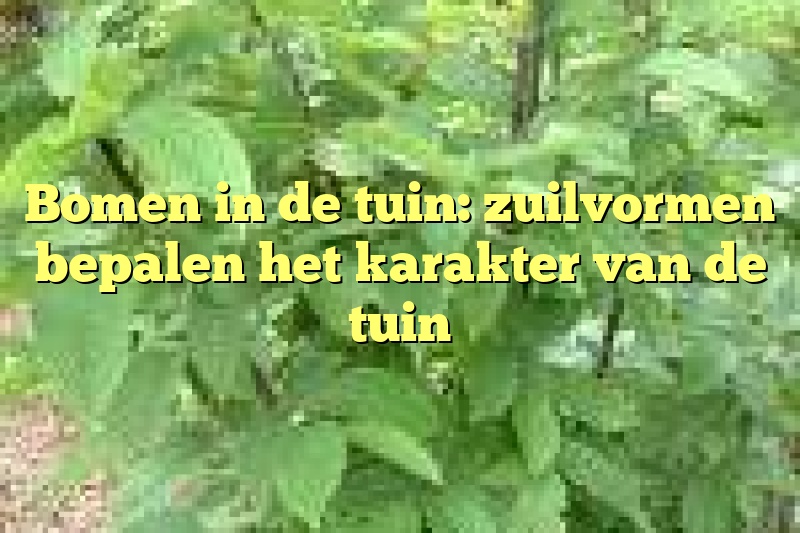 Bomen in de tuin: zuilvormen bepalen het karakter van de tuin